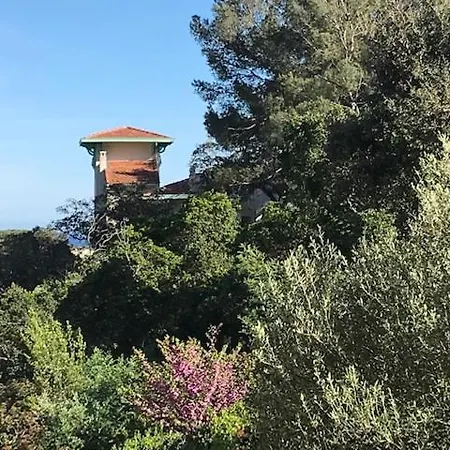 Studio Vue Cavalaire-sur-Mer